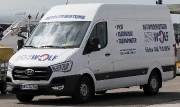 Hyundai H350