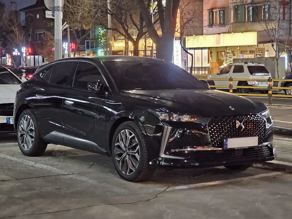 DS DS4