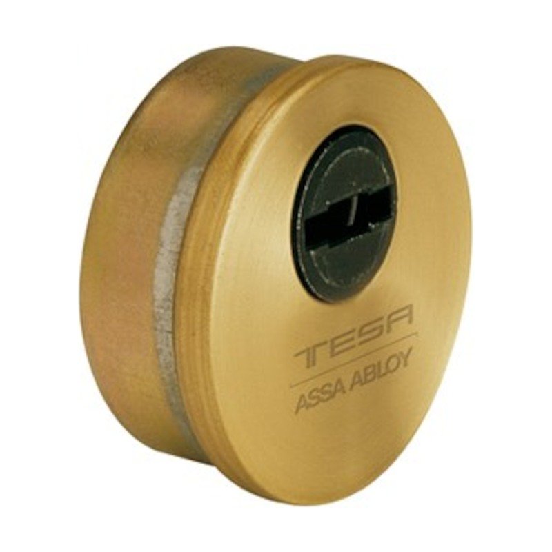Escudo Tesa E700/26 Antitaladro